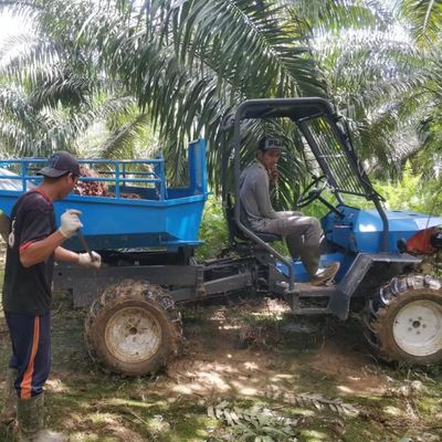 Hidrolik Sistem Tarımsal Palm Yağı Plantasyonları için Palm Yağı Traktörü