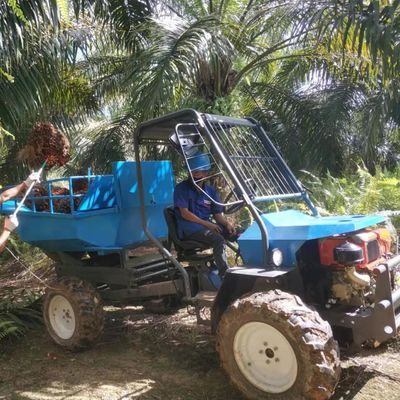 Hidrolik Sistem Tarımsal Palm Yağı Plantasyonları için Palm Yağı Traktörü