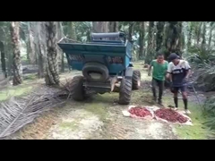 WEA08 PALM YAĞI TRAKTÖRÜ