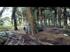 Dört tekerlekli 14hp Dizel Palm Oil Traktör Ekipmanı Tekerlek tabanı 2150mm