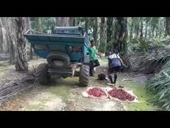 1325mm Açık Kabin Hurma Yağı Hasat Makinesi Ağırlığı 1250kg Kıskaçlı