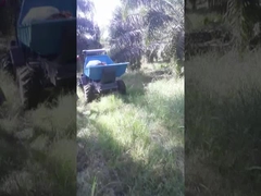 Tarım Lastik Tipi Dizel Motorlu Palm Yağı Traktörü