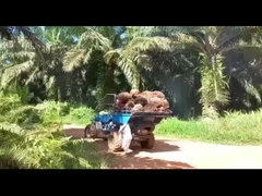 Hidrolik Sistem Palm Yağı Çekici Makineyi Verimli Palm Yağı Çekimi İçin