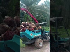 22 HP Endonezya Palm Oil Traktörü Mini Çiftlik Traktörü