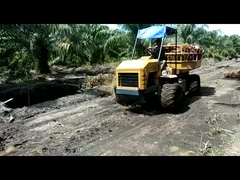 Hidrolik Mini Tarım Traktörü 14hp Motor Palm Yağı Plantasyonları için Güçlü Traktör